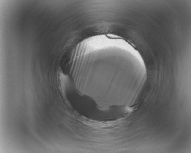 X0000066490035200604072226