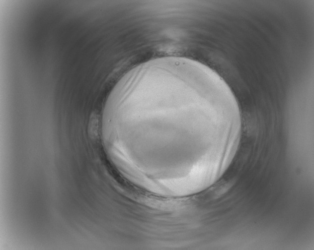 X0000066490036200604072226