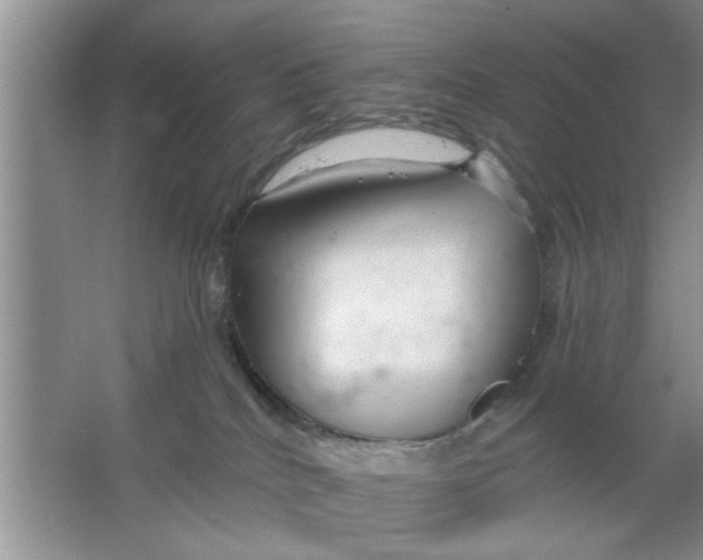 X0000066490040200604072226