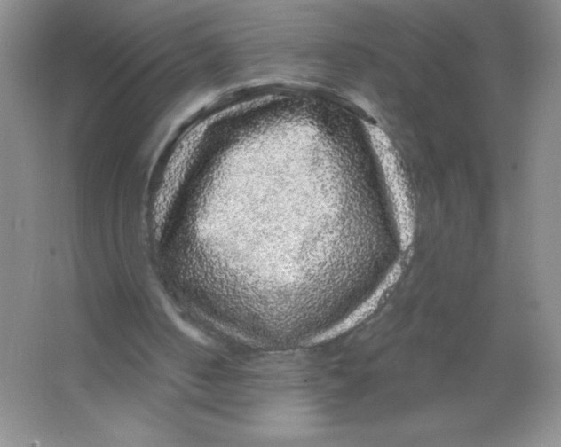X0000066490050200604072225