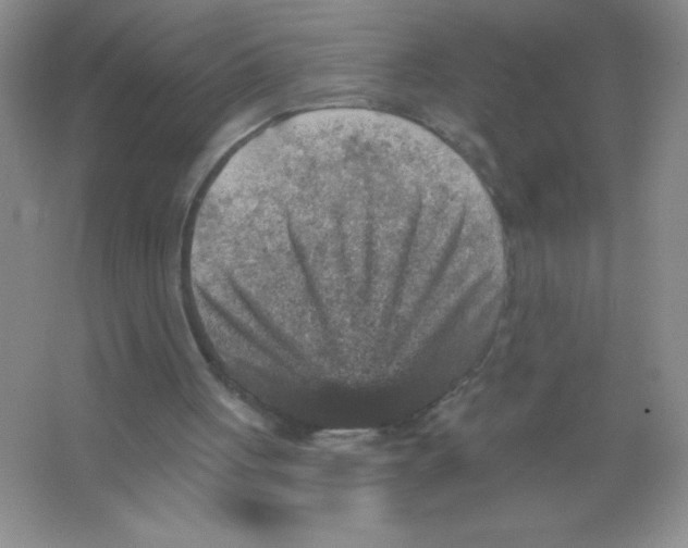 X0000066490051200604072225
