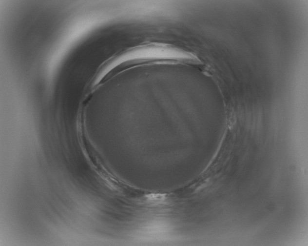 X0000066490052200604072225