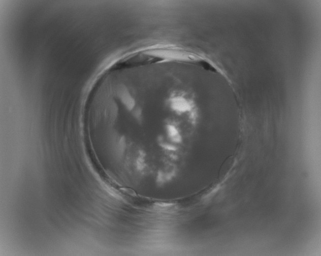 X0000066490055200604072225