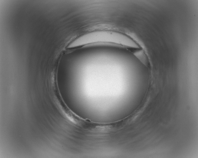 X0000066490057200604072225
