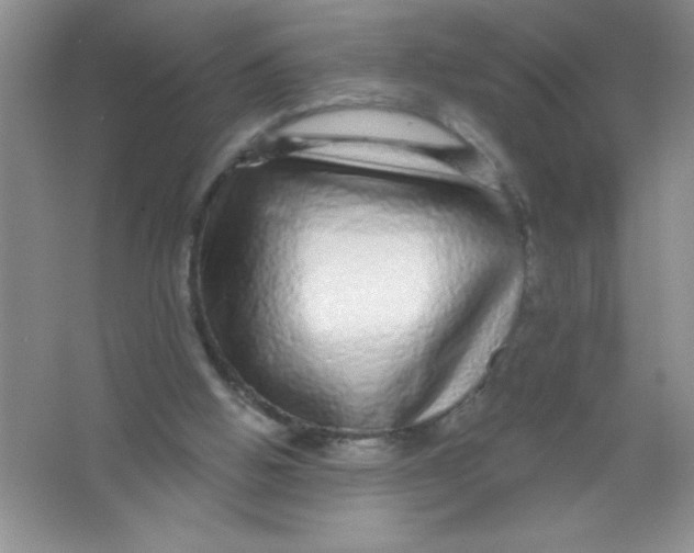 X0000066490058200604072225