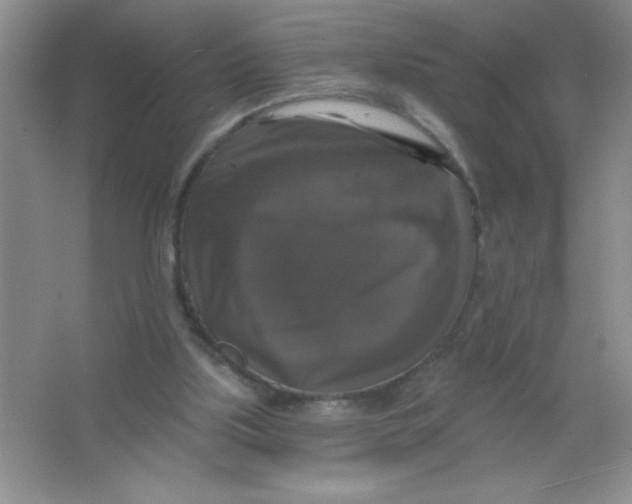 X0000066490059200604072225