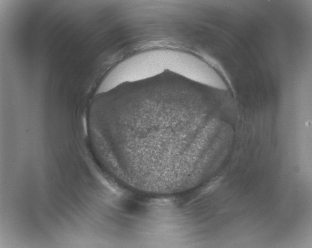 X0000066490061200604072225
