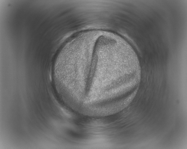 X0000066490062200604072225