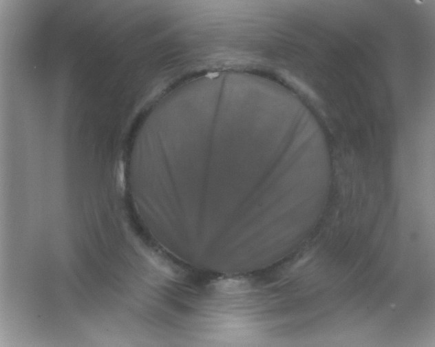 X0000066490067200604072226