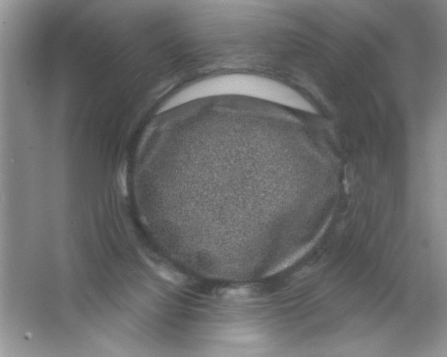 X0000066490068200604072226