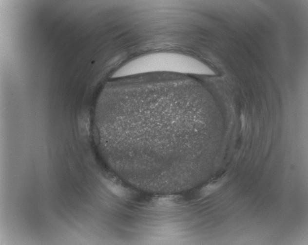 X0000066490072200604072226