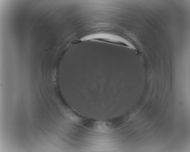 X0000066490073200604072226