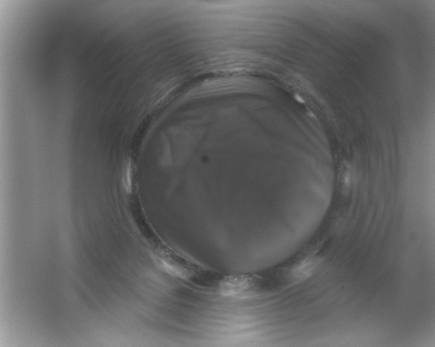 X0000066490076200604072226