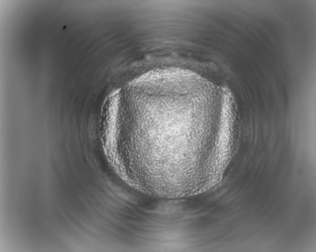 X0000066490078200604072226