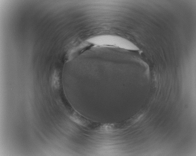 X0000066490080200604072226