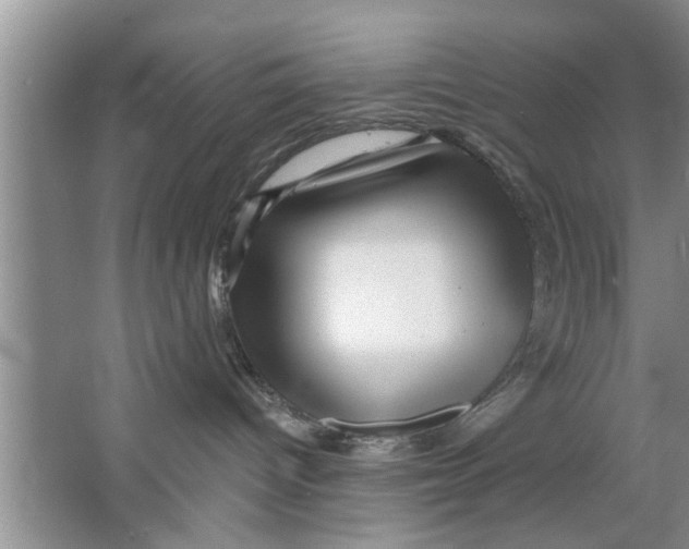 X0000066490096200604072226