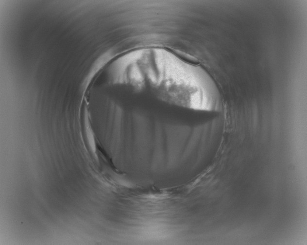 X0000066490099200604072225