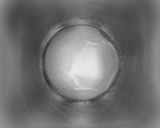 X0000066490103200604072225