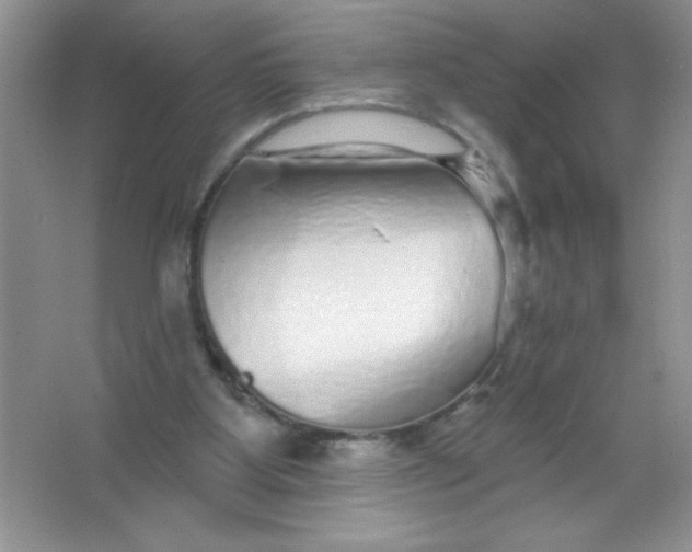 X0000066490107200604072225