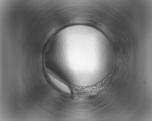 X0000066490111200604072225