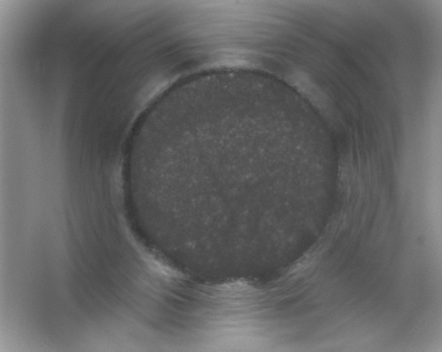 X0000066490112200604072225
