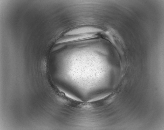 X0000066490113200604072225