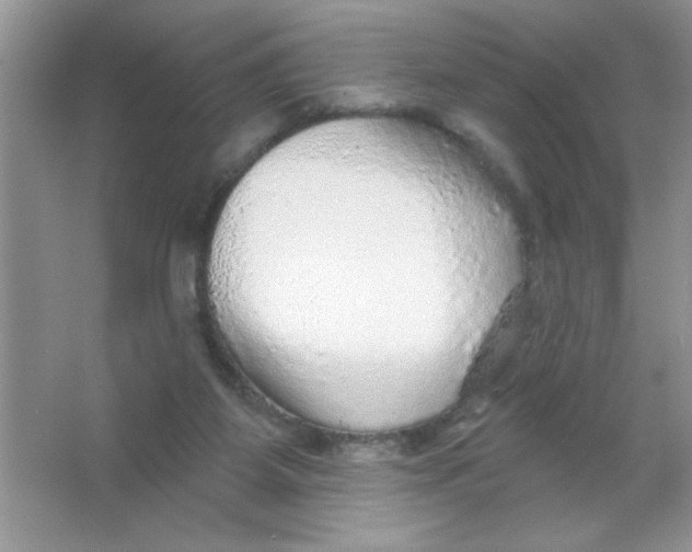 X0000066490115200604072225