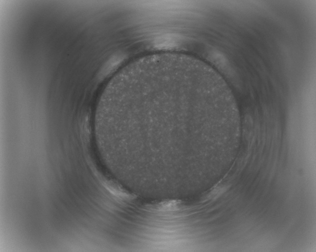 X0000066490116200604072225