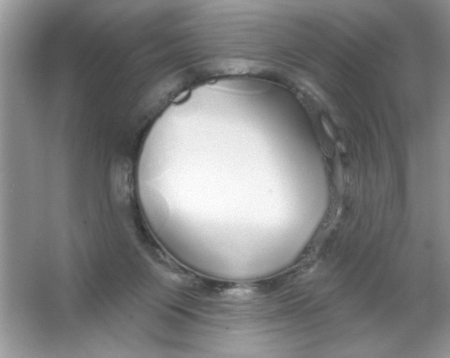 X0000066490119200604072225