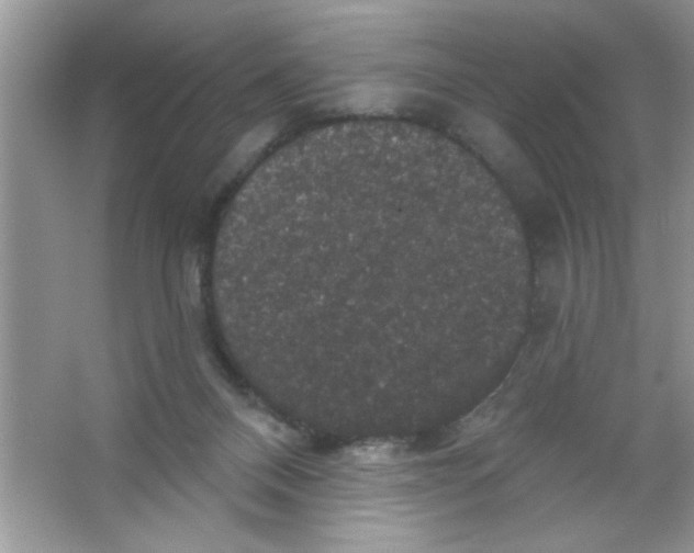 X0000066490120200604072225