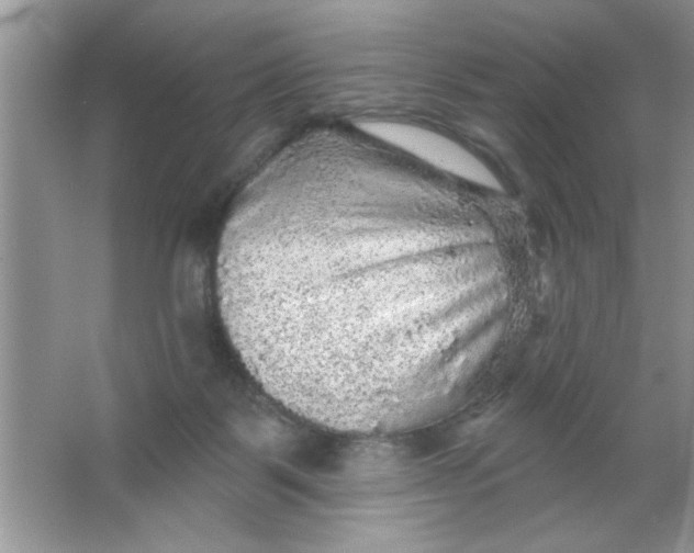 X0000066490123200604072225