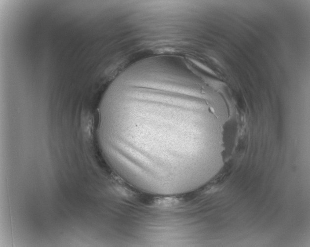 X0000066490125200604072225