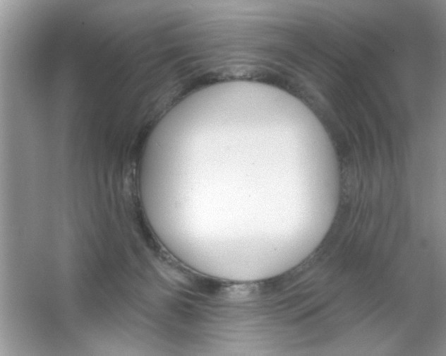 X0000066490126200604072225