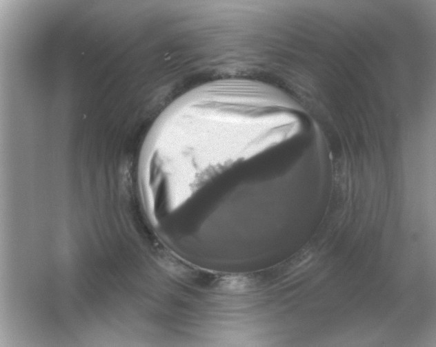 X0000066490127200604072225