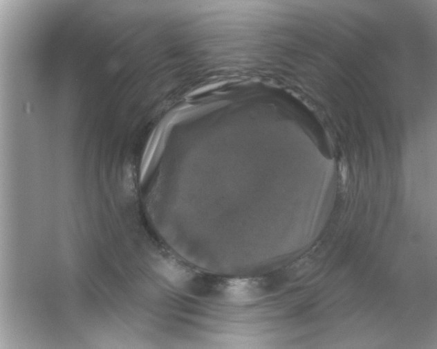 X0000066490130200604072225