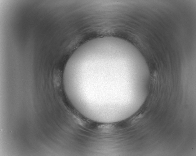 X0000066490133200604072225