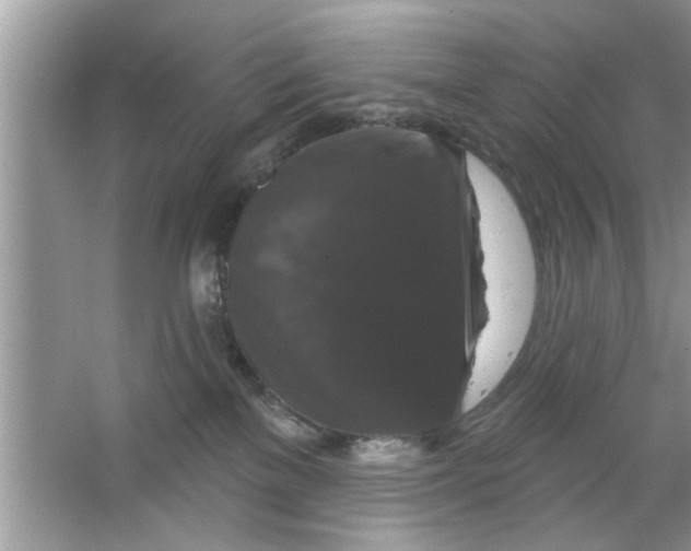 X0000066490137200604072225