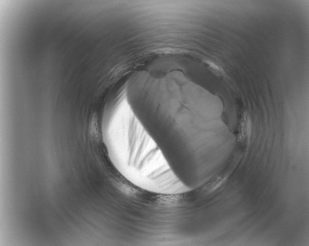 X0000066490143200604072224