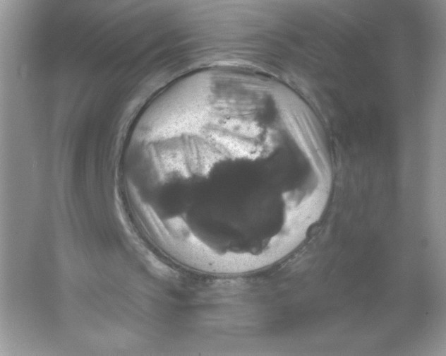 X0000066490145200604072224