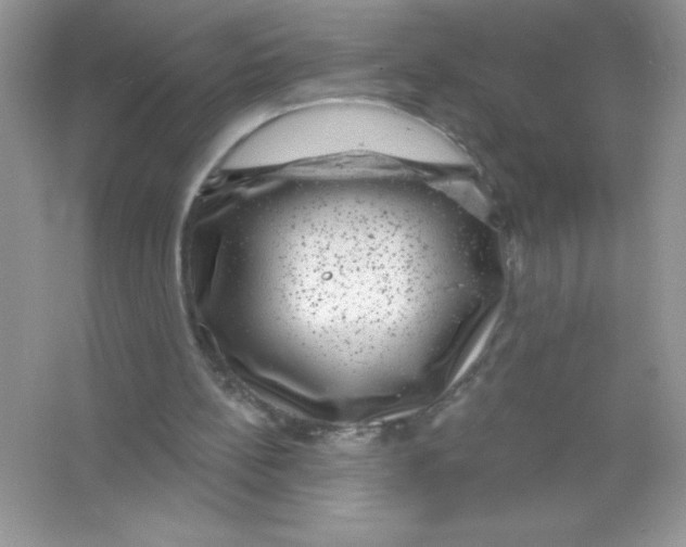 X0000066490148200604072224