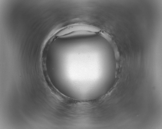 X0000066490150200604072224