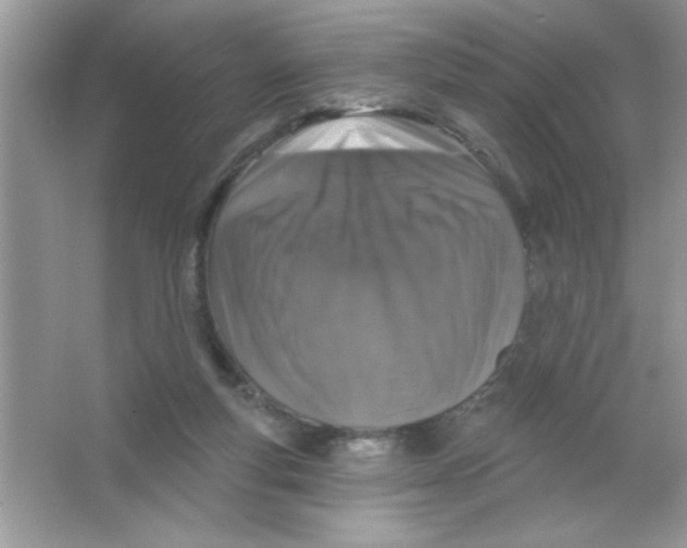 X0000066490163200604072224
