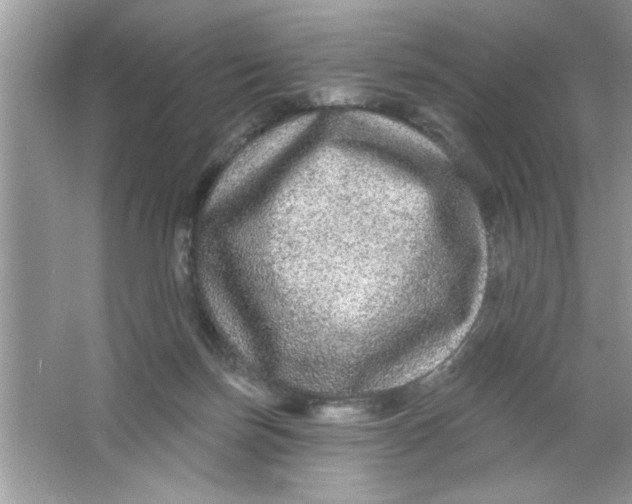 X0000066490171200604072224