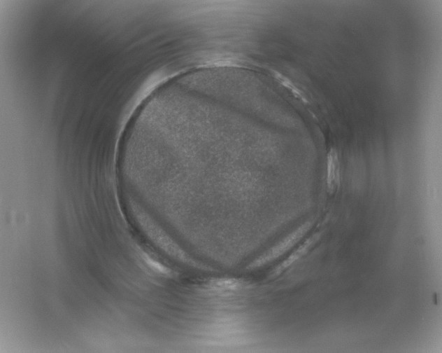 X0000066490195200604072224