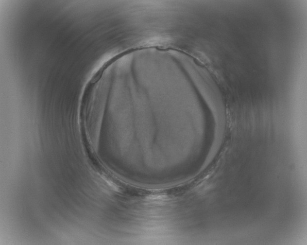 X0000066490196200604072224