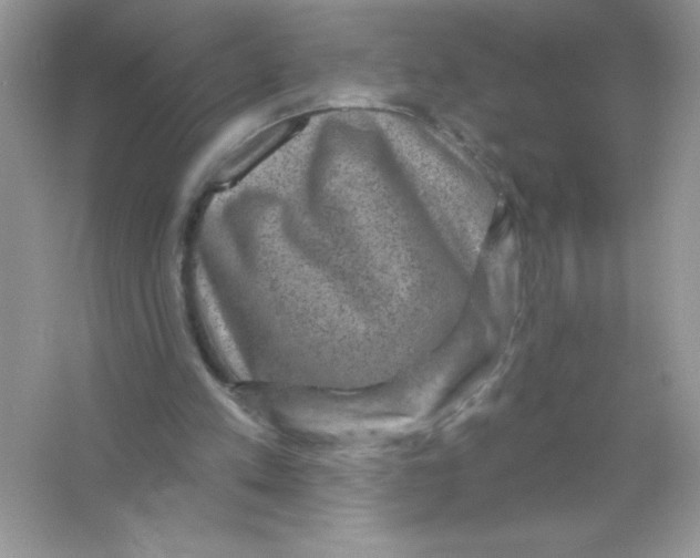 X0000066490197200604072224