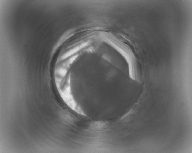 X0000066490198200604072224