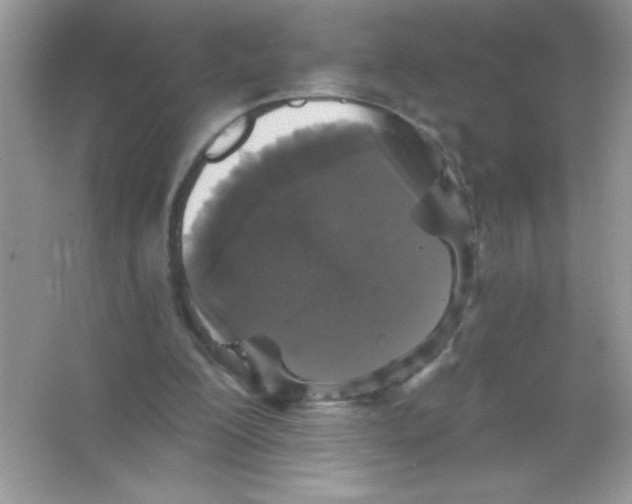 X0000066490200200604072223