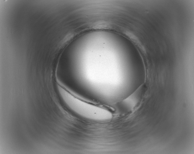 X0000066490201200604072223