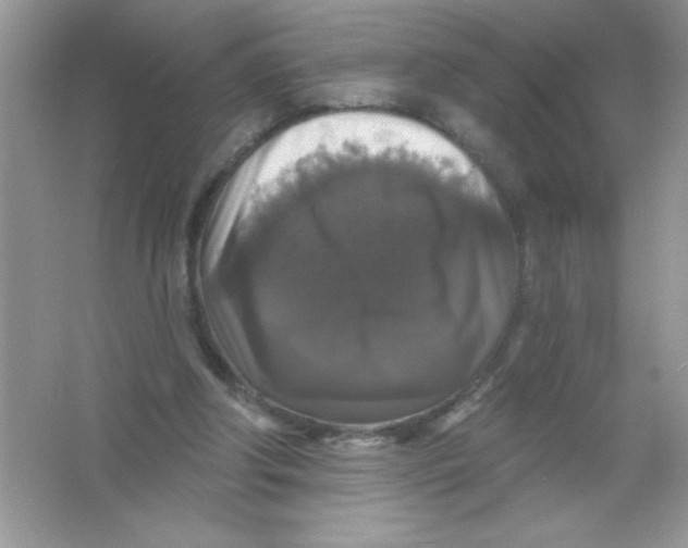 X0000066490202200604072223